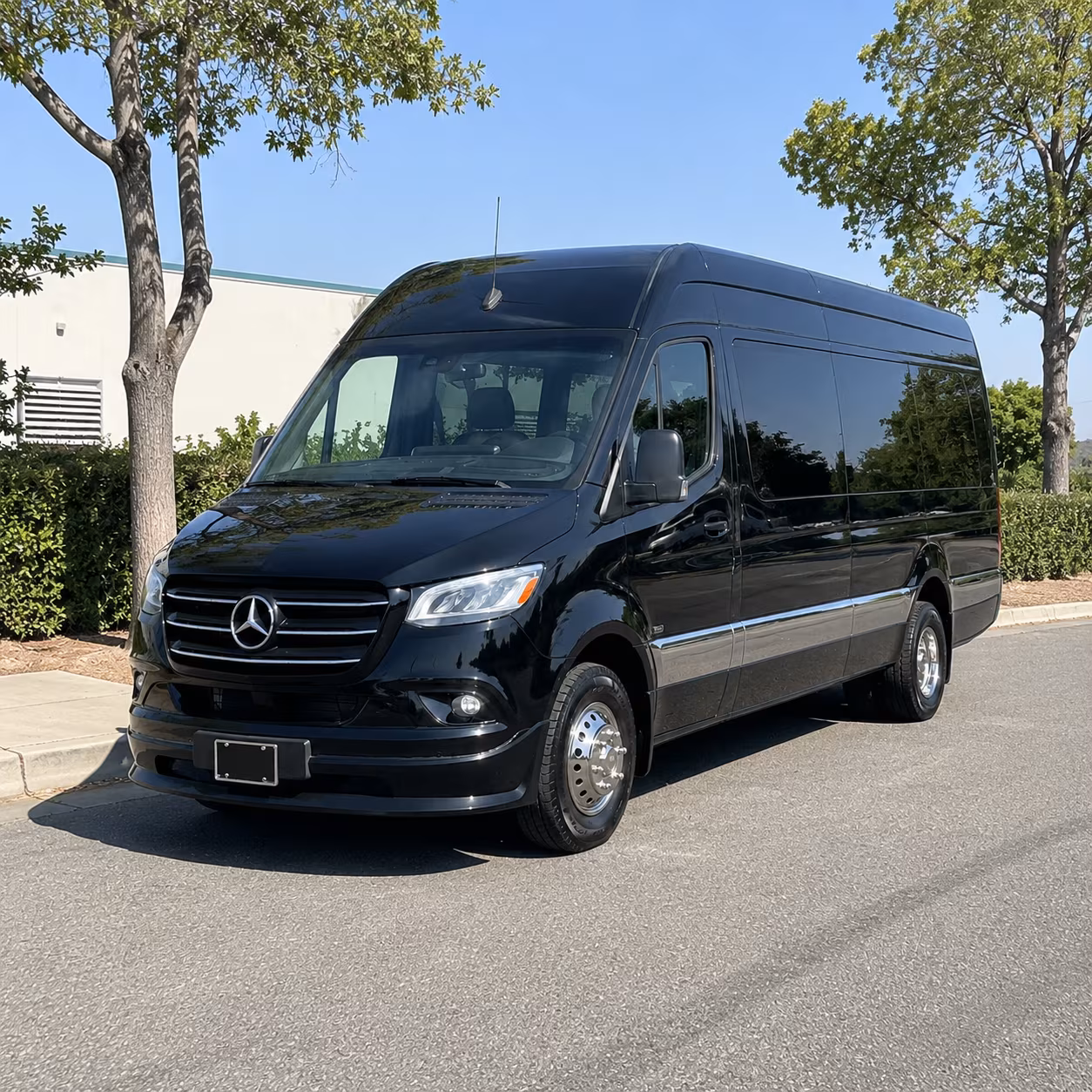 sprinter limousine